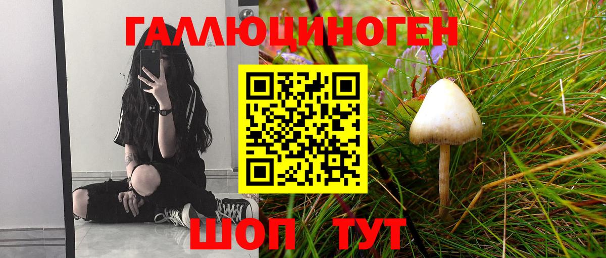 Галлюциногенные грибы MAGIC MUSHROOMS Пушкино